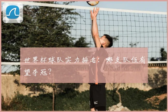 世界杯球队实力排名：哪支队伍有望夺冠？