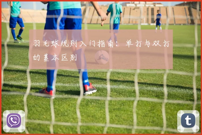 羽毛球规则入门指南：单打与双打的基本区别